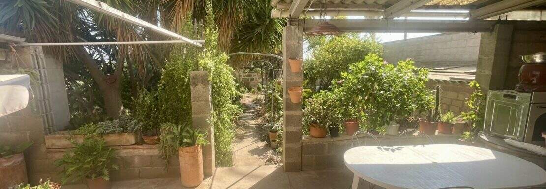 Terraza-jardín