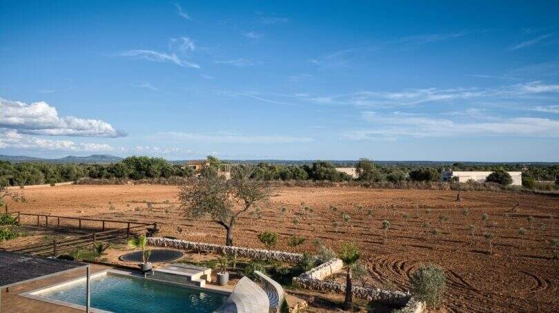 Vista desde la terraza