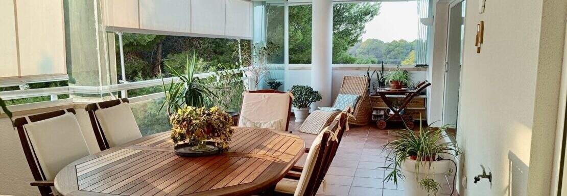 Terraza