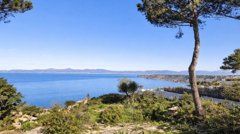 Panoramablick auf das Mittelmeer mit Pinien und üppiger Vegetation, First-Line-Lage der Villa in Llucmajor