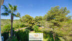 Vista desde el balcón