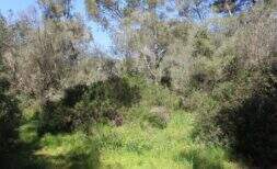 Building plot near the beach in Cala Murada