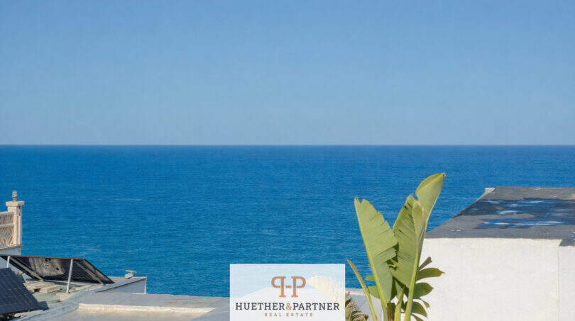 View from the terrace