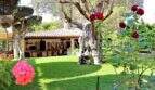 Naturstein-Villa - Costa de los Pinos - Fotos (25)