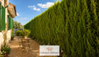 Seitlicher Gartenbereich des Luxus-Chalets in Cala Murada mit hoher Thuja-Hecke, Kiesweg und Bistrotisch.