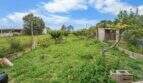 Gartenanblick