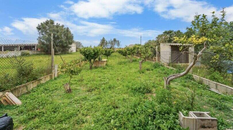 Gartenanblick