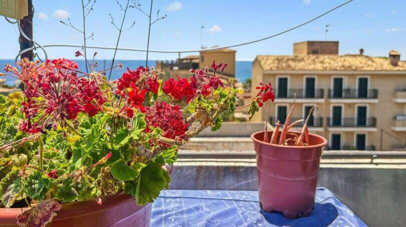 Dachterrasse 