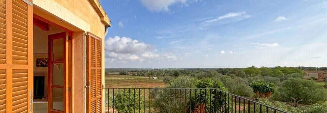 Vista de la terraza