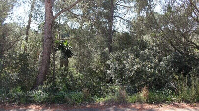 PM07382_Baugrundstueck_Cala-Murada_01