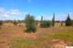24.416m² Finca mit 8 Zimmern, 4 Bädern und Pool zu kaufen