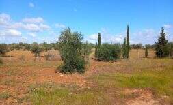 Modern luxury finca with individual expansion potential on 24,416m² private plot in Mallorca