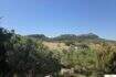 43.000m² Finca mit 3 Zimmern, Bad und Bergblick zu kaufen