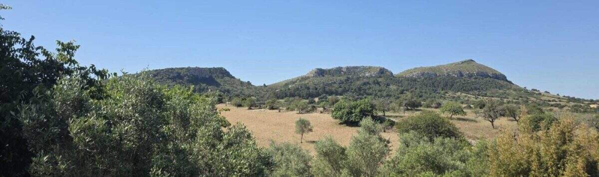 Bild zum Objekt: 43.000m² Finca mit 3 Zimmern, Bad und Bergblick zu kaufen