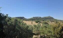 Exclusive natural finca with spectacular mountain panorama and unique building potential near Sant Llorenç des Cardassar