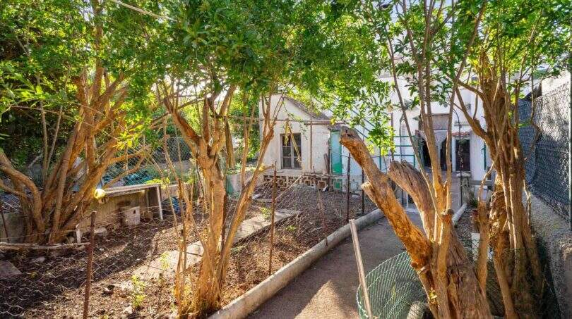 Haus mit Patio und Garten in Felanitx