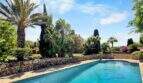 Pool und Palmen