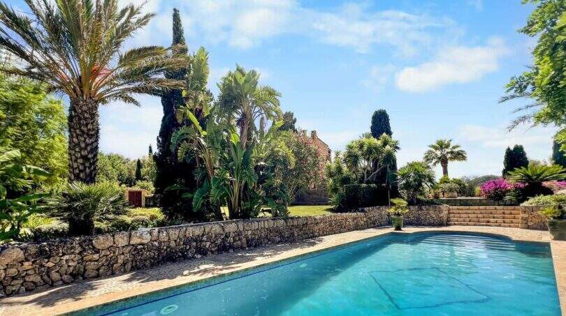 Pool und Palmen