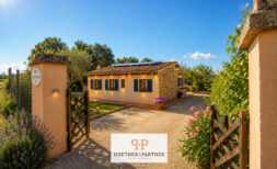 Finca bei Manacor mit Brunnen und ländlicher Ruhe