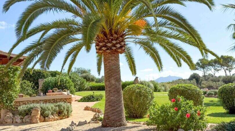 LF0902-finca-in-felanitx-renoviert-luxusimmobilie-11