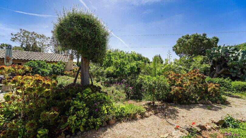 Garten..