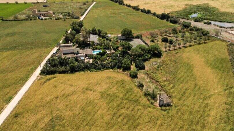 Drone 6