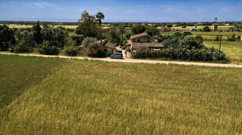 Drone 3