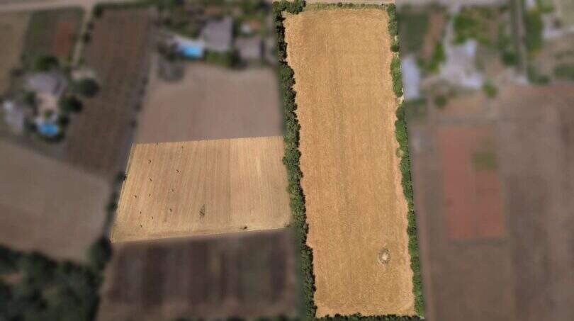 Eagle eye Grundstück