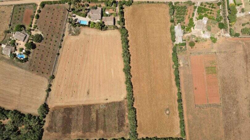 Obenansicht Drone