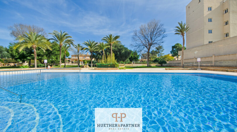 Großer blauer Außenpool mit Palmen und Wohngebäude in Cales de Mallorca bei sonnigem Wetter.