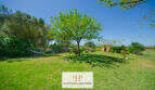 DSC_3008-Editar