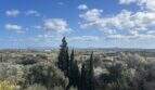Outlook