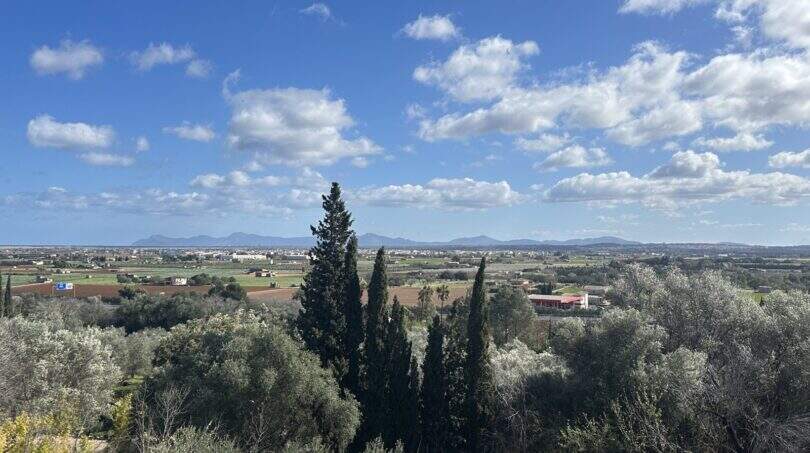 Outlook