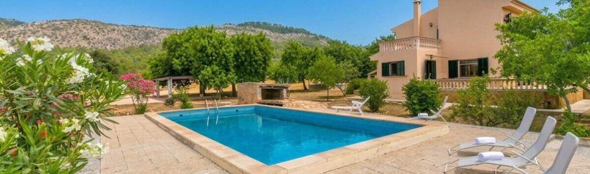 View of the property: 20.000m² finca with 4 bedrooms, 2 bathrooms and pool for sale
