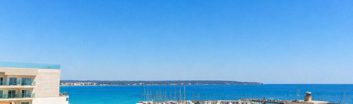 Image of the property: 50m² apartment with 2 rooms, bathroom and roof terrace for sale