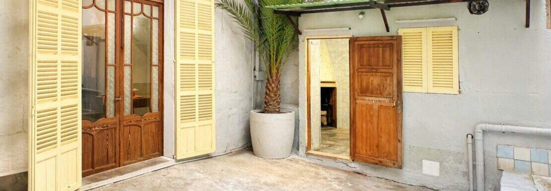 brightened courtyard with palm tree