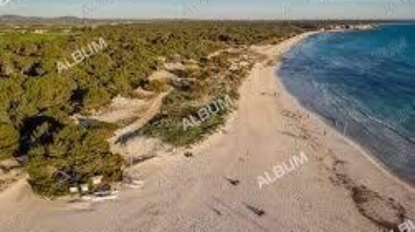 Strand Sa Rapita