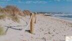Strand Sa Rapita