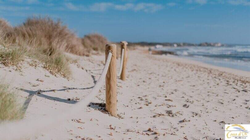 Strand Sa Rapita