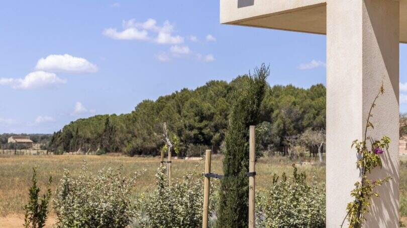 Finca