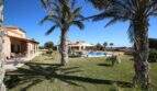 Finca 