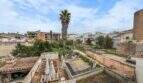 Roof terrace with a view of the garden, a palm tree, and the historic old town of Felanitx under a blue sky