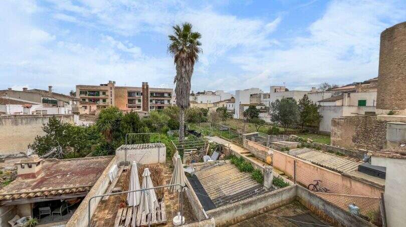 Roof terrace with a view of the garden, a palm tree, and the historic old town of Felanitx under a blue sky