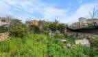 An overgrown garden with lush vegetation, stone walls, and white garden furniture, surrounded by houses in Felanitx.