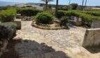 Jardín