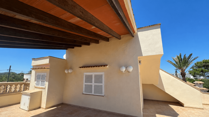 Covered rooftop terrace of the Majorcan villa with wooden beams, terracotta roof and palm tree view under blue sky.