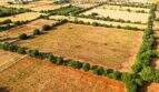 Large lot