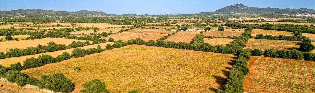 Property photo: 28,132 m² lot for sale with mountain views and a well