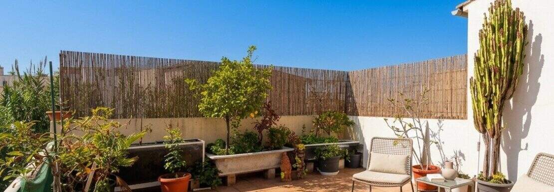 Sonnige Dachterrasse mit Terrakottafliesen, Loungemöbeln, Kakteen und Bambus-Sichtschutz in Portixol, Palma
