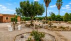 Mediterraner Kiesgarten mit Olivenbaum, Palmen, Brunnen und weißen Loungechairs bei Finca in Sencelles